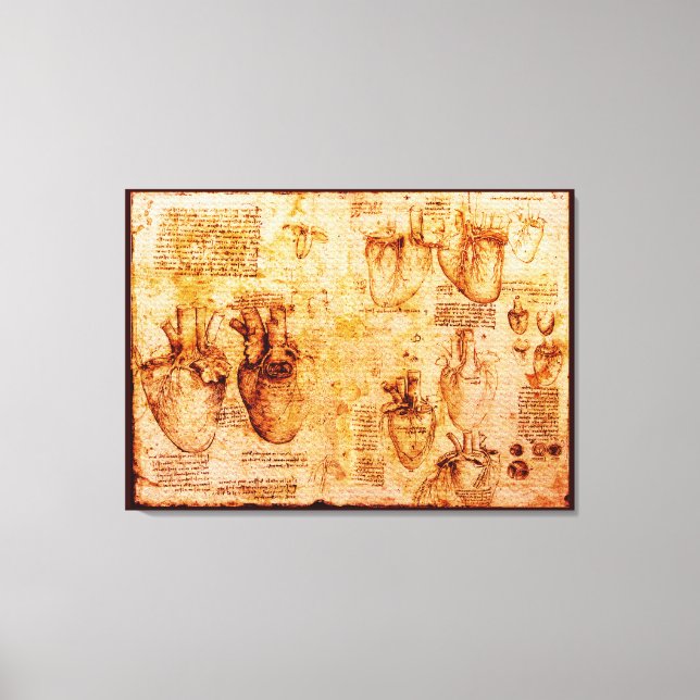 Heart And Its Blood Vessels, Brown Canvas Print (Front)