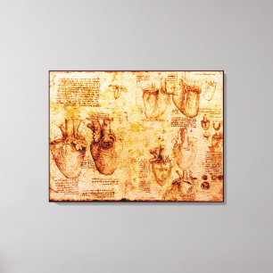 Heart And Its Blood Vessels, Brown Canvas Print