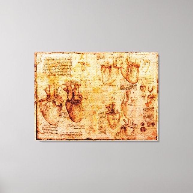Heart And Its Blood Vessels, Brown Canvas Print (Front)
