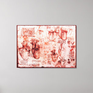 Heart And Its Blood Vessels,Leonardo Da Vinci, Red Canvas Print