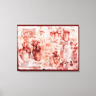 Heart And Its Blood Vessels,Leonardo Da Vinci, Red Canvas Print