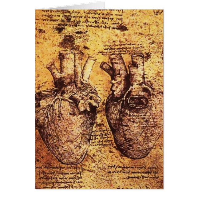 Heart And Its Blood Vessels Parchment (Front)