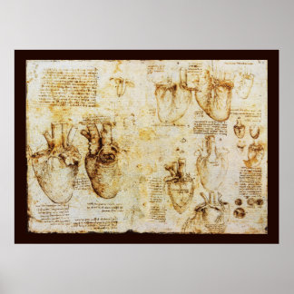 Heart And Its Blood Vessels , Sepia Canvas Poster
