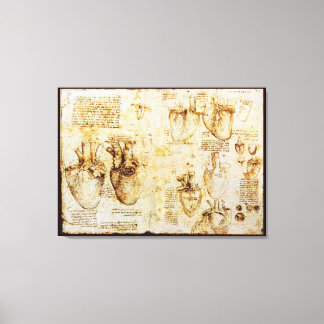Heart And Its Blood Vessels, Sepia Canvas Print