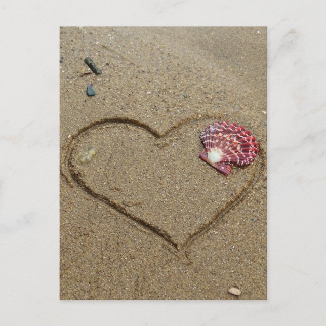 heart and shell on beach postcard (Front)