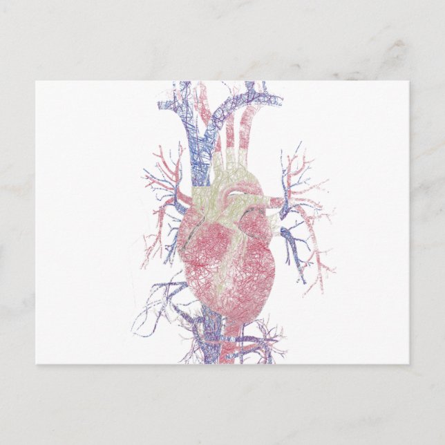 Heart (Biro) Postcard (Front)