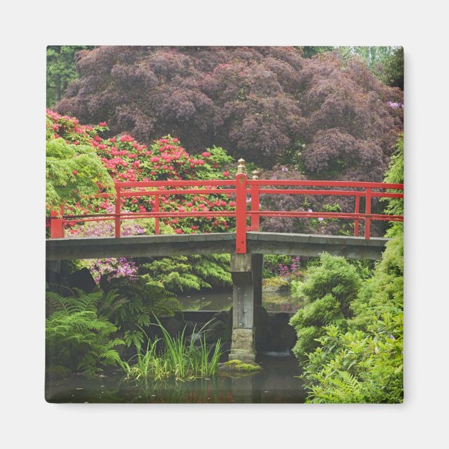 Heart Bridge with blossoming rhododendrons, Magnet (Front)