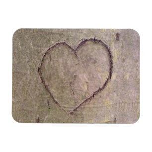Heart Carved in a Tree Magnet