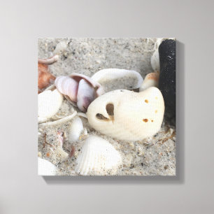 Heart in a Shell canvas print 12x12 framed