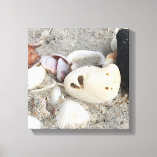 Heart in a Shell canvas print 12x12 framed