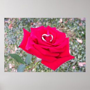 Heart in Rose Poster