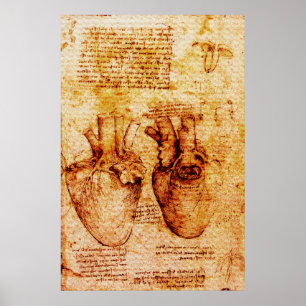 Heart,Its Blood Vessels,Leonardo Da Vinci Brown Poster
