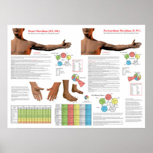 Heart Meridian Acupuncture Points Poster
