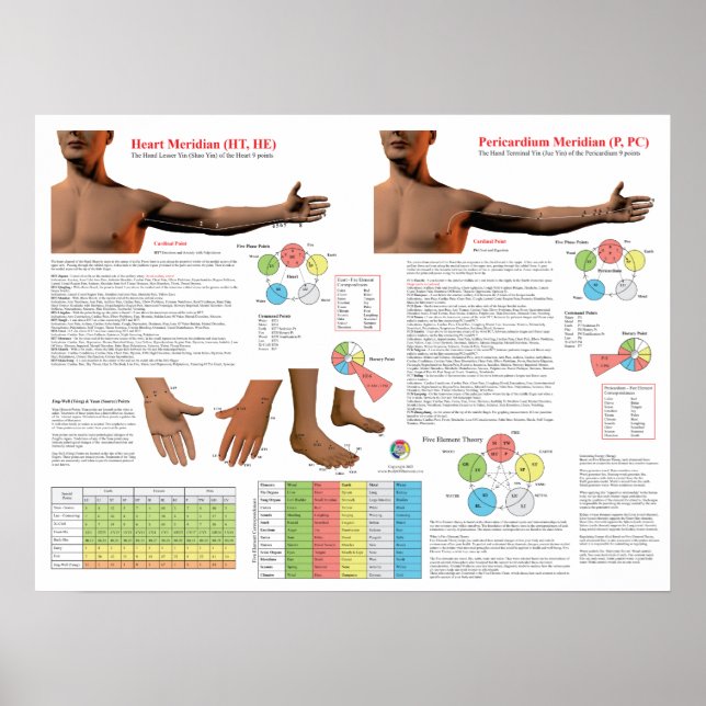 Heart Meridian Acupuncture Points Poster (Front)