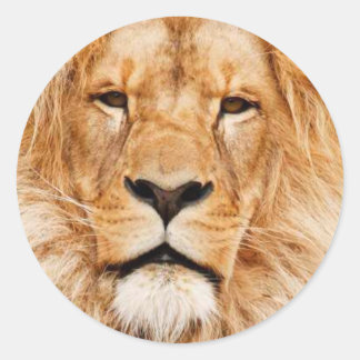Heart of the lion classic round sticker