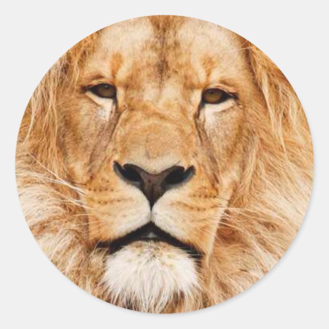 Heart of the lion classic round sticker (Front)