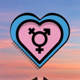 Heart of Trans Pride Spiral Notebook