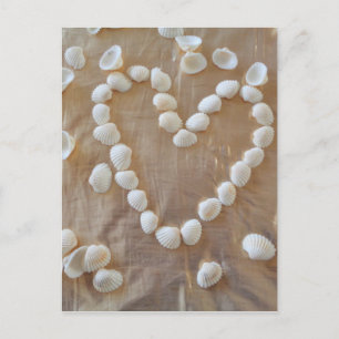 Heart of White Sea Shells, Summer Beach Ocean Love Postcard