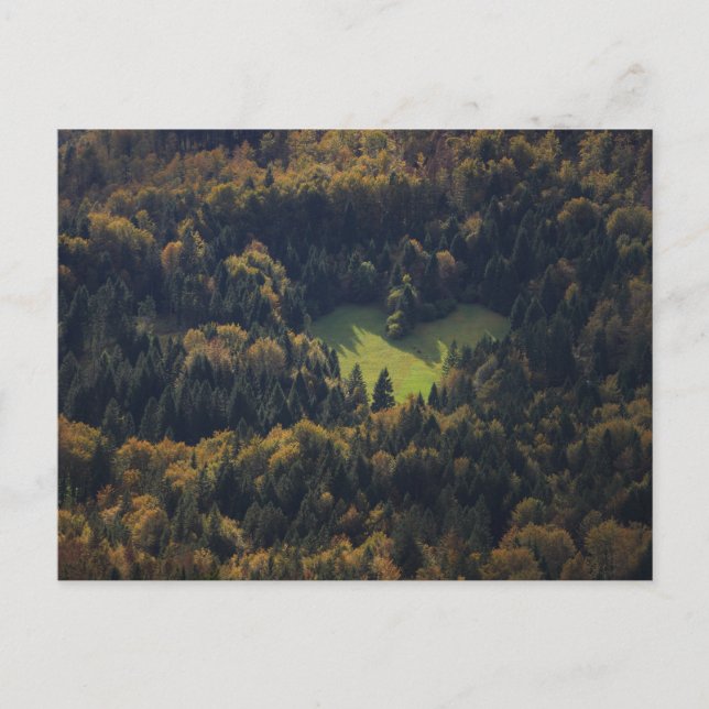 Heart shape in a forest in Slovenia Postcard (Front)