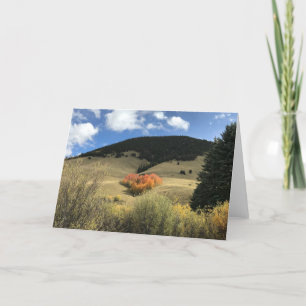 Heart Shaped Aspens Card