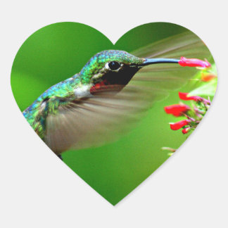 Heart Shaped Hummingbird Sticker