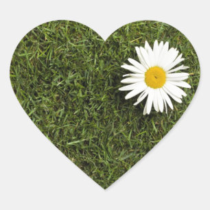 Heart shaped piece of lawn with big daisy flower sticker