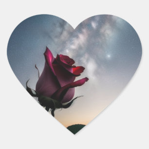 Heart Shaped Sticker With Rose & Stars