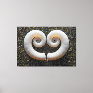 HEART SHELLS 40x60 Canvas Print