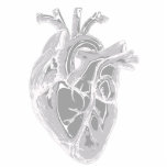 Heart Sketch Photo Sculpture<br><div class="desc">A detailed realistic monochromatic grey heart for display. CHD makes the heart a central subject in the lives of those touched by defects. This sculpture is for those with a specific fascination with this amazing organ. image adapted from https://pixabay.com/illustrations/heart-nurse-health-body-parts-5079717/ by mandrakept.</div>