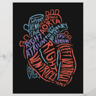 Heart Specialist Anatomy Doctor Medical Biology Custom Letterhead