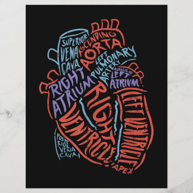 Heart Specialist Anatomy Doctor Medical Biology Custom Letterhead (Front)