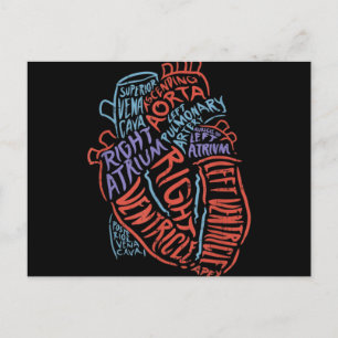 Heart Specialist Anatomy Doctor Medical Biology Holiday Postcard