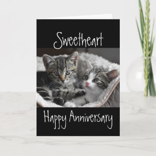 Heart Sweetheart Anniversary Cat Animal Card