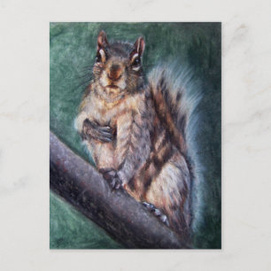Heart Thump (Squirrel) Postcards