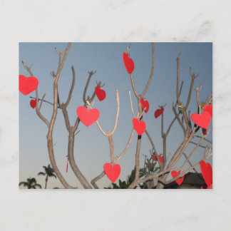 Heart Tree Postcard