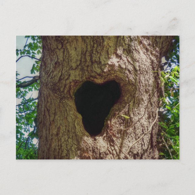 Heart Tree Postcard (Front)