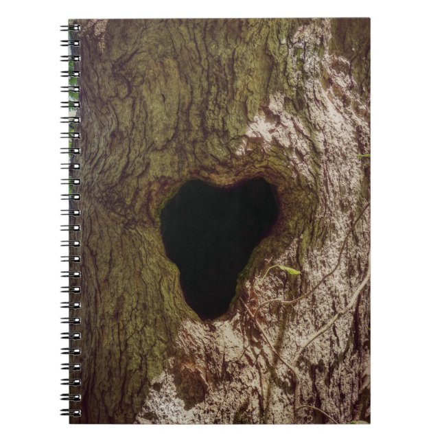 Heart Tree Spiral Notebook (Front)