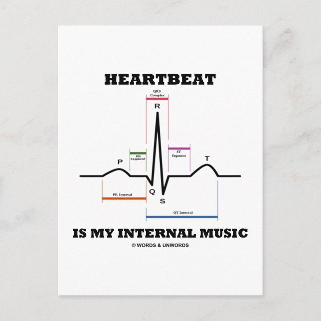 Heartbeat Is My Internal Music (ECG/EKG) Postcard (Front)