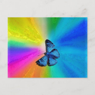 heartedrainbow butterfly postcard