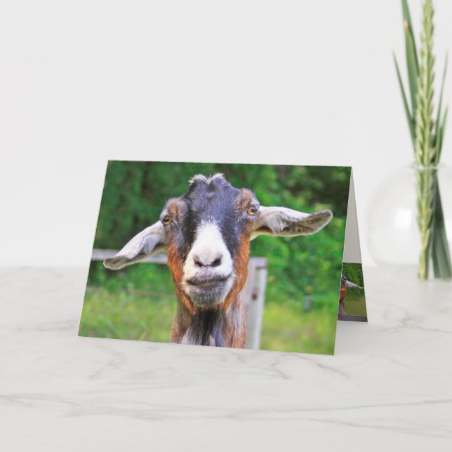Heartfelt Funny Goat Birthday Card (Front)