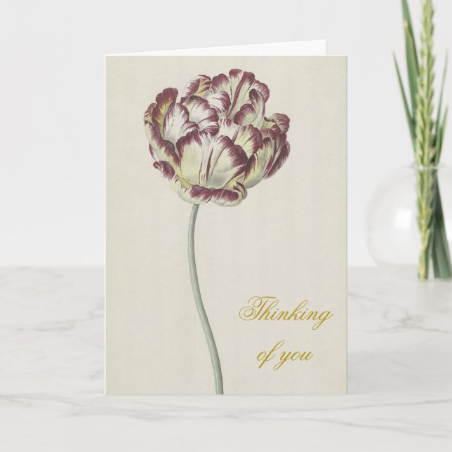 Heartfelt Sympathy - Vintage Yellow & Red Tulip Holiday Card (Front)