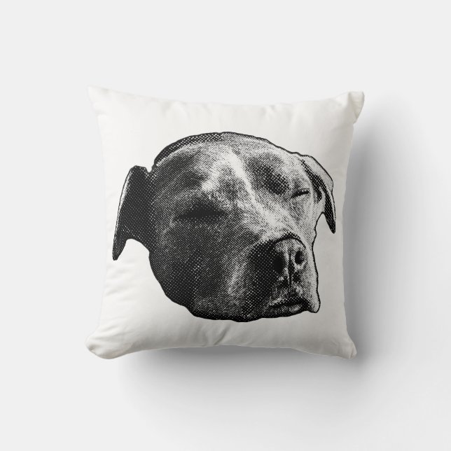 Hearth Whisper Cushion (Front)