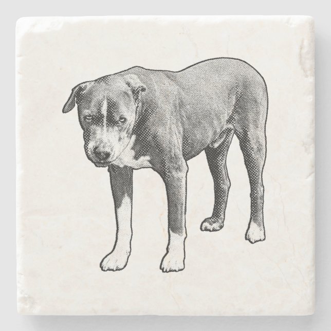 Hearthside Dot Study Stone Coaster (Front)