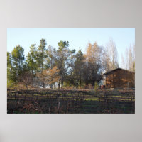 Hearthstone Vineyard in Paso Robles, CA