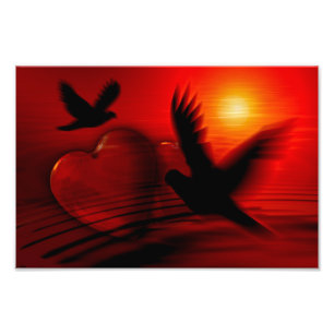 Hearts and Doves Photo Print