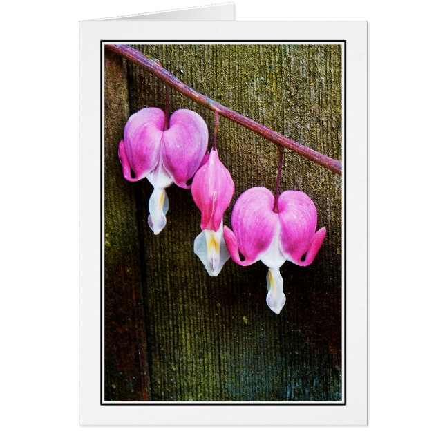 Hearts Bleed (Front)