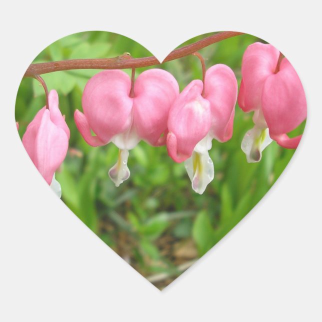 "Hearts Delight!" Heart Sticker (Front)