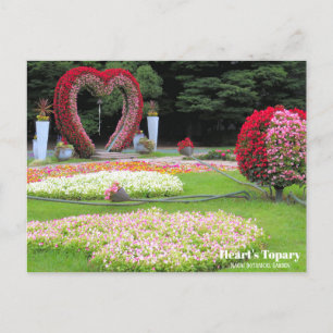 Heart's Topary ：Postcard Postcard