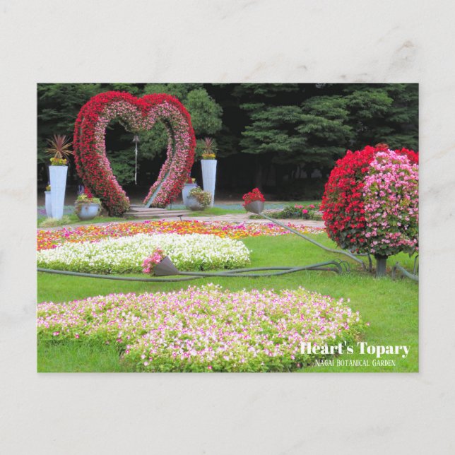 Heart's Topary ：Postcard Postcard (Front)