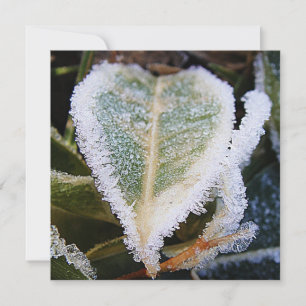 Heartshaped leaf with ice invitation